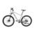 Bicicleta Eléctrica- BE100G – 350W – UMSTYLE